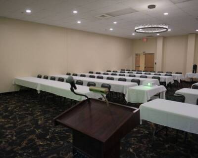 View from the podium inside a meeting room at The Pavilion with tables, chairs, and ceiling lighting set up for a presentation.